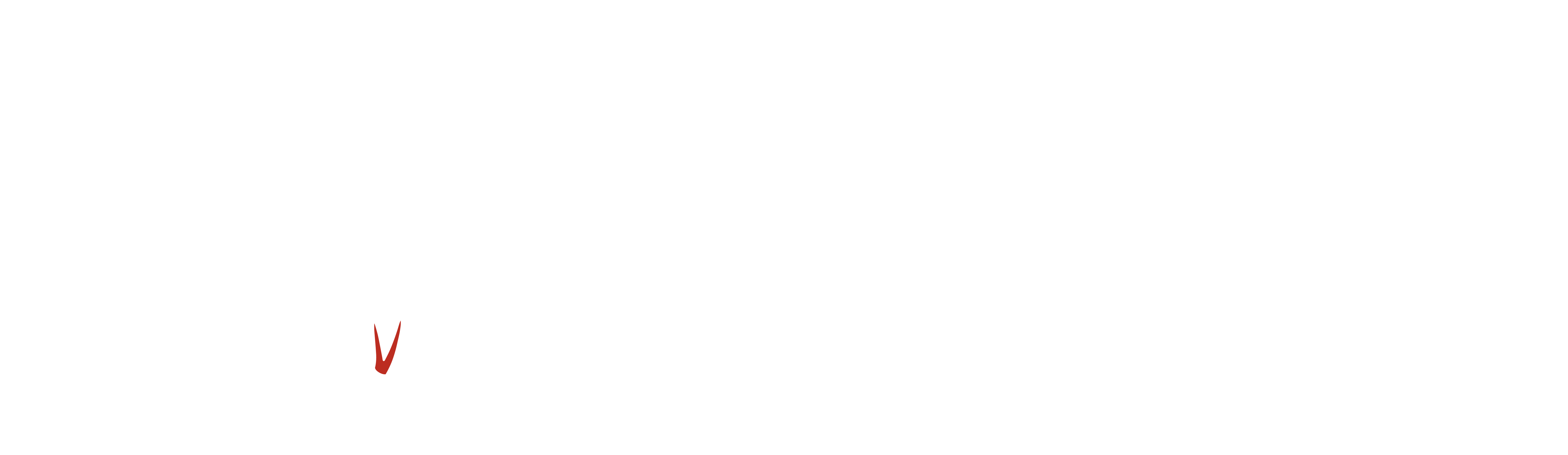 Vipre Electronics